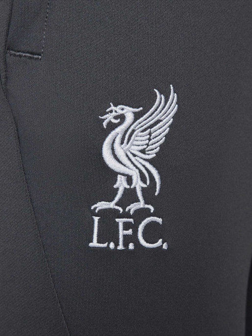 NIKE LFC M NK DF STRK PANTS KPZ
