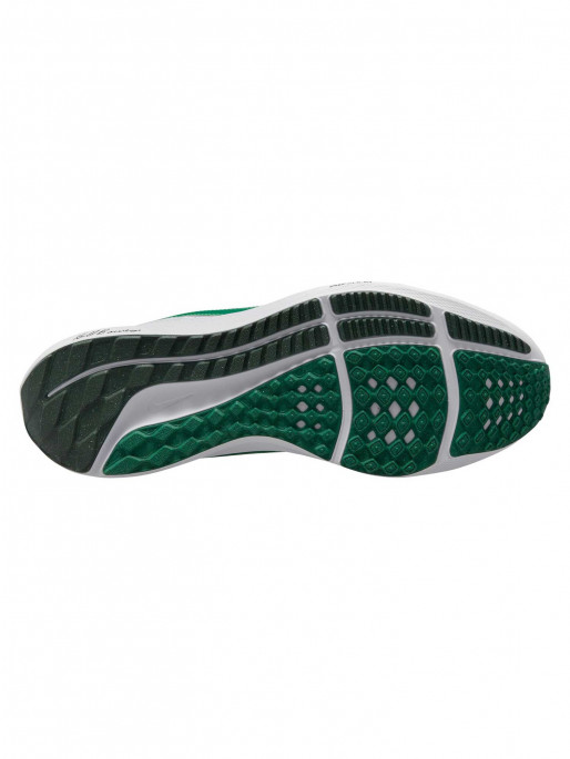 NIKE Παπούτσια Pegasus 40 Premium