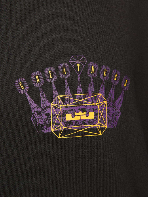 NIKE Tricou Lbj M Nk M90 Fa23