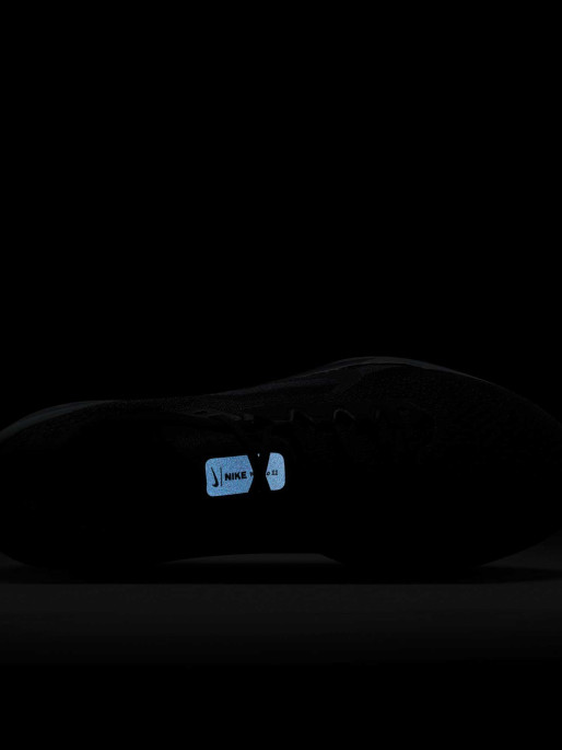 NIKE Παπούτσια AIR WINFLO 11