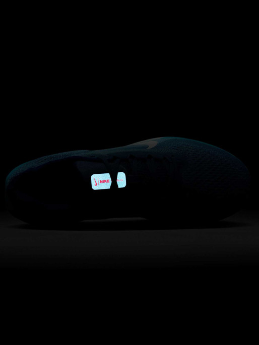NIKE Παπούτσια AIR WINFLO 11