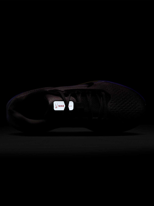 NIKE Παπούτσια AIR WINFLO 11