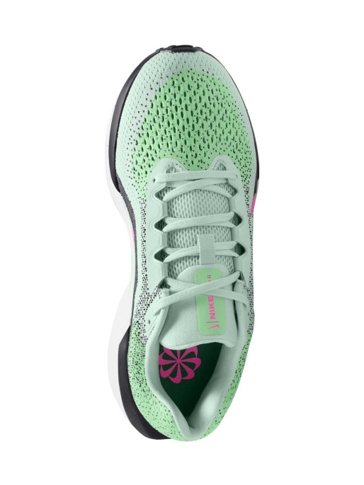 NIKE Incaltaminte Wmns Air Winflo 11