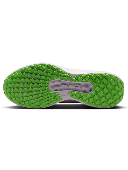 NIKE Incaltaminte Wmns Air Winflo 11