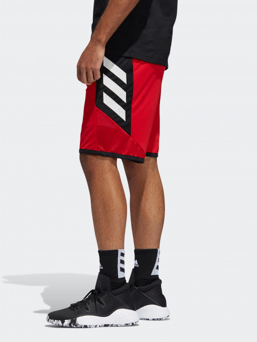 pro madness shorts