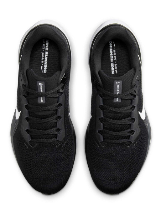 NIKE Παπούτσια Pegasus 41