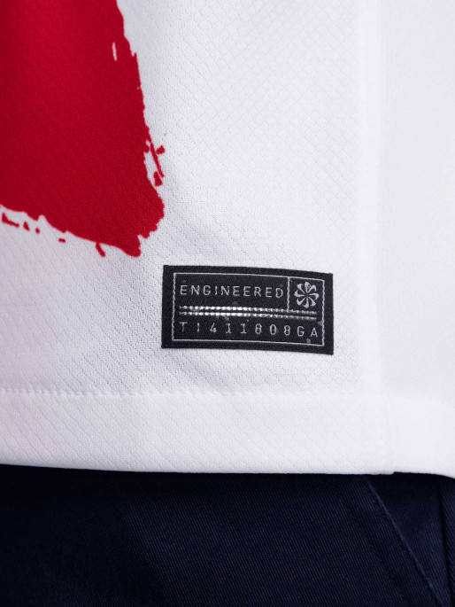 NIKE PSG M NK DF JSY SS STAD AW T-shirt