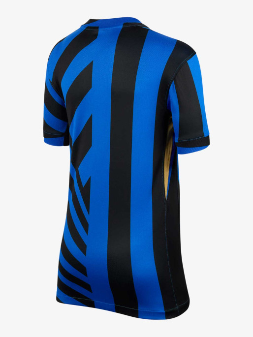 NIKE INTER Y NK DF JSY SS STAD HM T-shirt