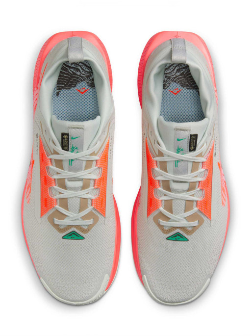 NIKE Incaltaminte Pegasus Trail 5 Gtx