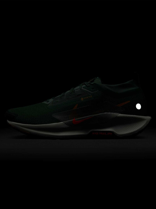 NIKE Обувки PEGASUS TRAIL 5 GTX