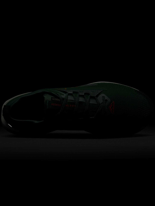 NIKE Обувки PEGASUS TRAIL 5 GTX