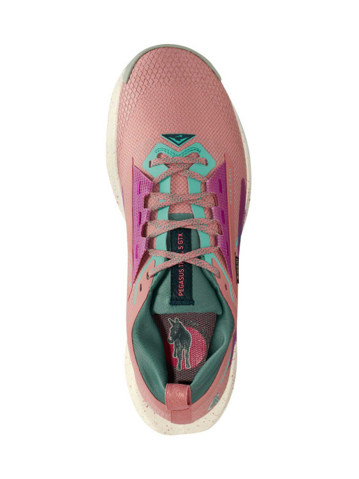 NIKE Incaltaminte Pegasus Trail 5 Gtx