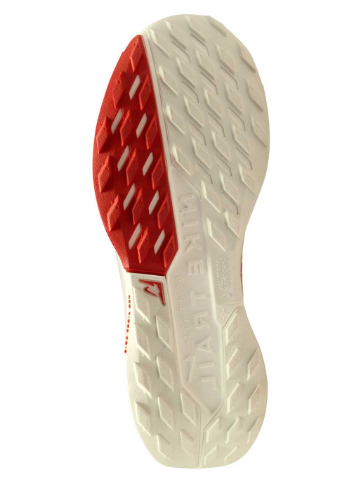 NIKE Παπούτσια Pegasus Trail 5