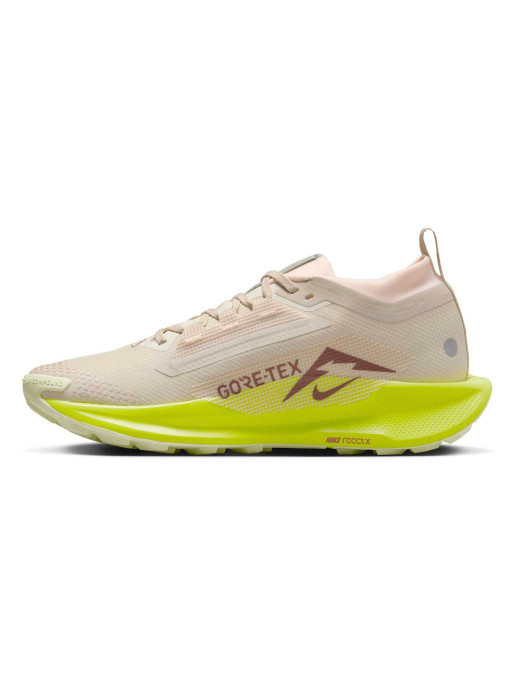 NIKE Incaltaminte W Pegasus Trail 5 Gtx