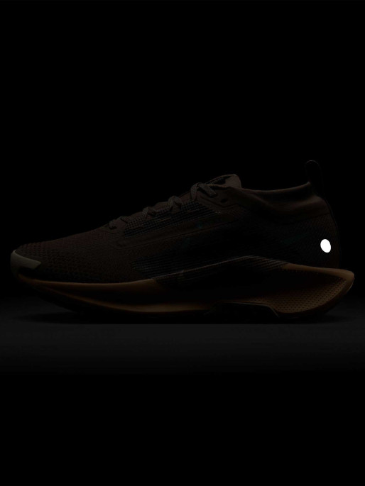 NIKE Обувки W PEGASUS TRAIL 5 GTX