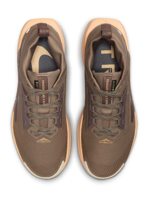 NIKE Обувки W PEGASUS TRAIL 5 GTX