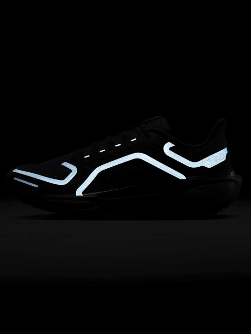 NIKE Incaltaminte Air Zm Pegasus 41 Gtx