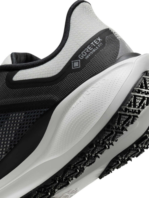 NIKE Incaltaminte Air Zm Pegasus 41 Gtx