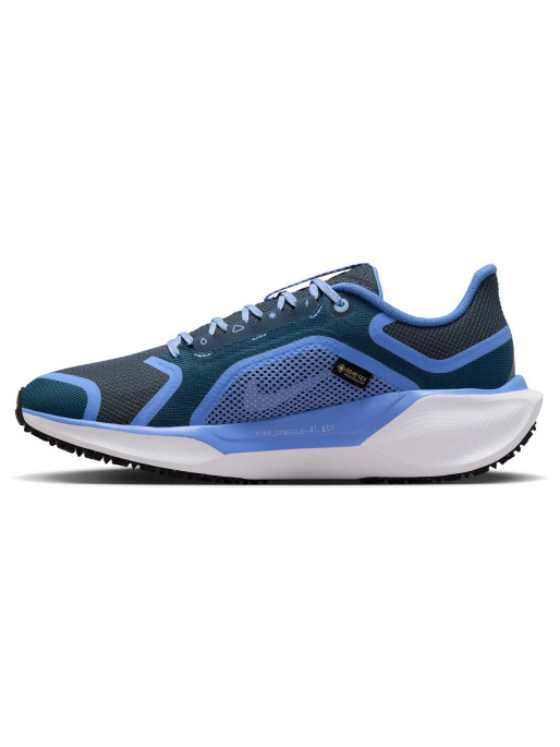 NIKE Incaltaminte W Air Zm Pegasus 41 Gtx