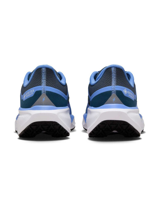 NIKE Incaltaminte W Air Zm Pegasus 41 Gtx