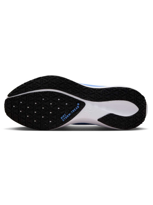 NIKE Incaltaminte W Air Zm Pegasus 41 Gtx