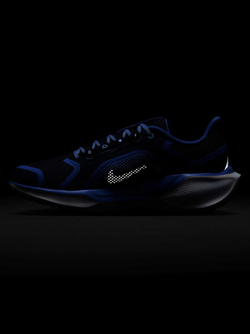 NIKE Incaltaminte W Air Zm Pegasus 41 Gtx
