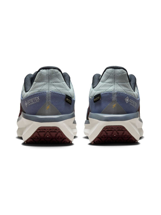 NIKE Incaltaminte Air Winflo 11 Gtx