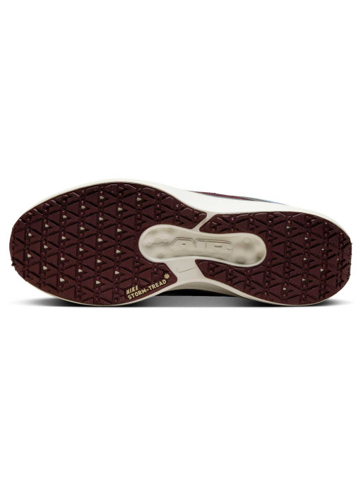 NIKE Incaltaminte Air Winflo 11 Gtx