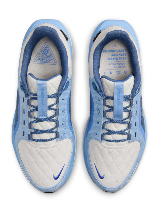 NIKE Incaltaminte W Air Winflo 11 Gtx