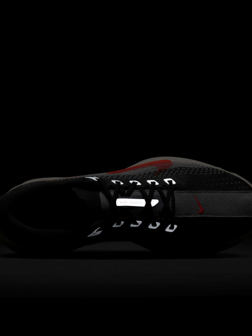 NIKE Incaltaminte Pegasus Plus