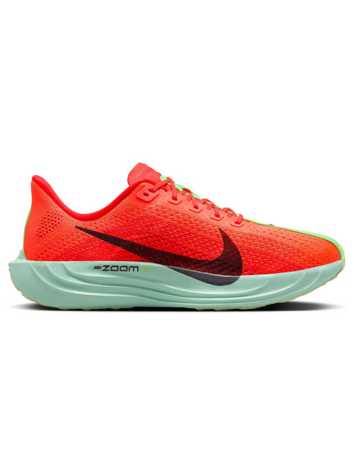 NIKE Incaltaminte Pegasus Plus