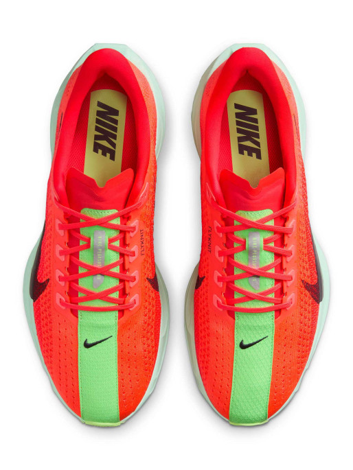 NIKE Incaltaminte Pegasus Plus