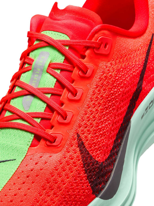 NIKE Incaltaminte Pegasus Plus