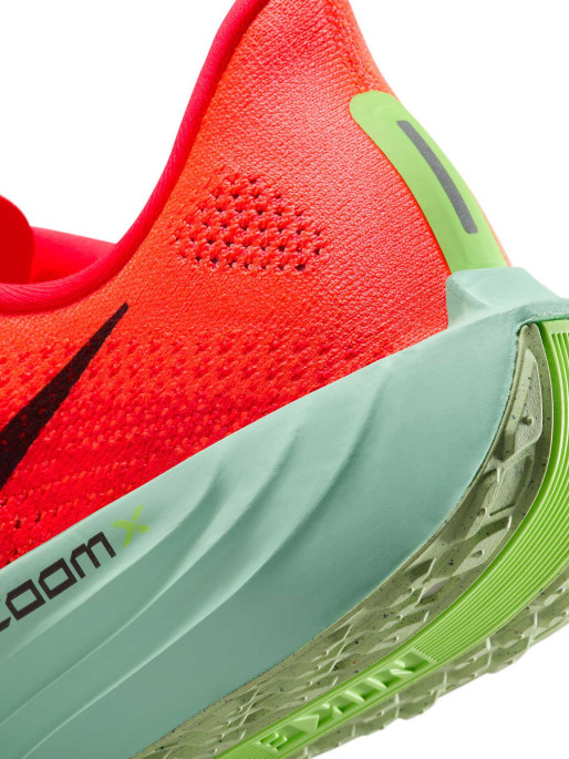 NIKE Incaltaminte Pegasus Plus