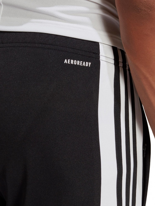 ADIDAS PERFORMANCE Αθλητικό Παντελόνι M SQUADRA21