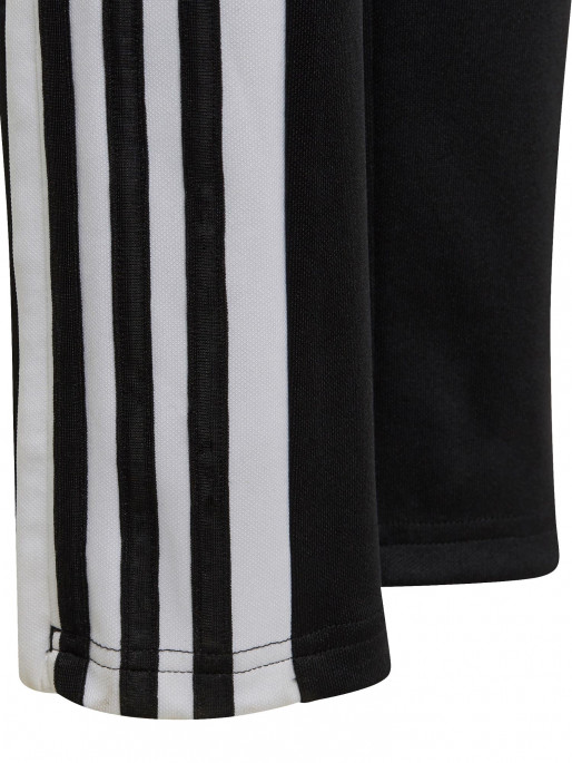 ADIDAS PERFORMANCE Squadra 21 Pants