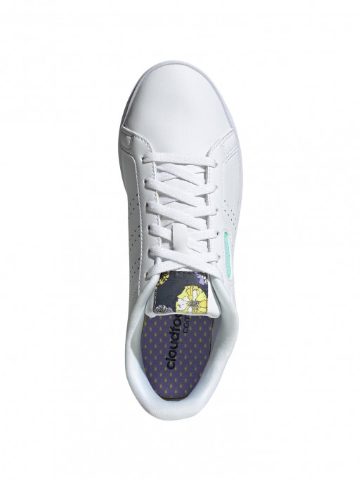 ADIDAS SPORTSWEAR Ženske patike Courtpoint Base