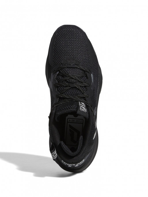 ADIDAS PERFORMANCE Incaltaminte Dame 8
