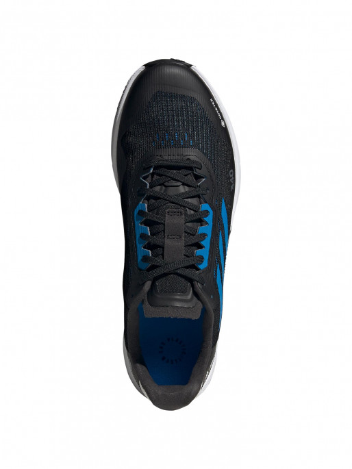 ADIDAS PERFORMANCE Terrex Agravic Flow 2.0 GORE-TEX Shoes