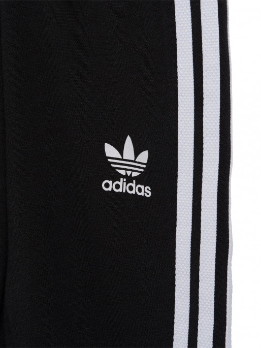 ADIDAS ORIGINALS Trening Adicolor