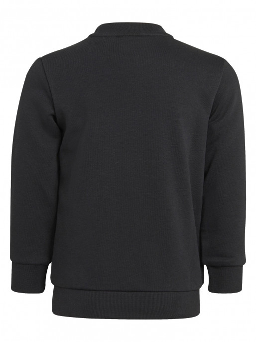 ADIDAS ORIGINALS Trening Adicolor