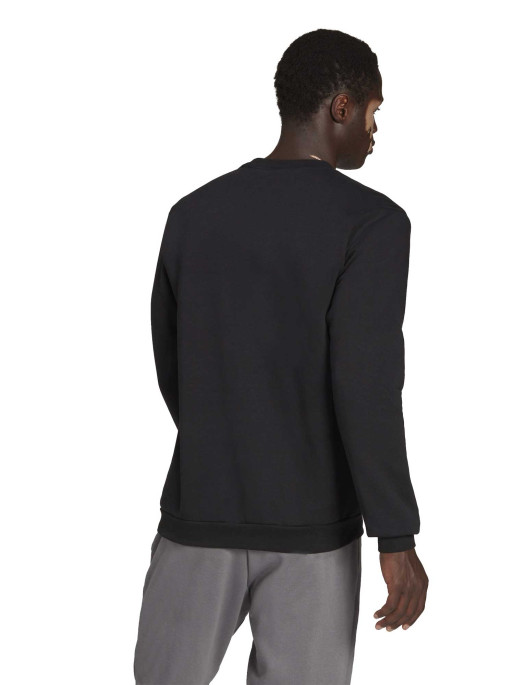 ADIDAS PERFORMANCE Μακρυμάνικη Μπλούζα Entrada 22 Sweat