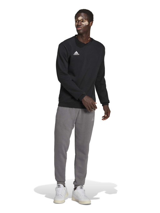 ADIDAS PERFORMANCE Μακρυμάνικη Μπλούζα Entrada 22 Sweat