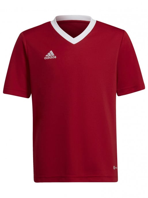 adidas team football catalog