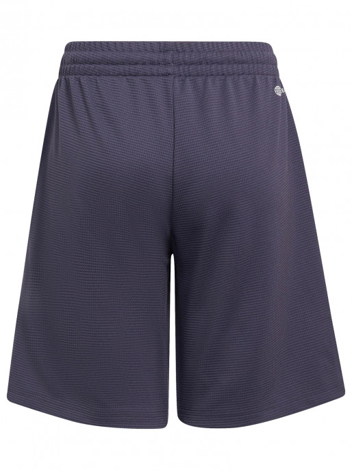 ADIDAS SPORTSWEAR Sportska oprema Predator