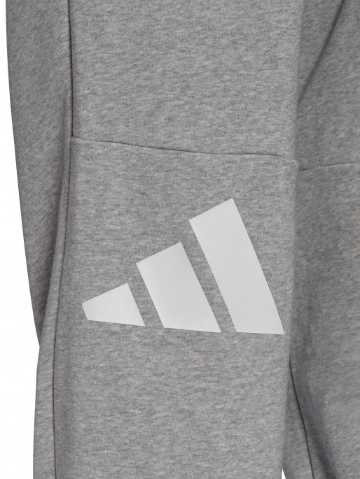 ADIDAS Αθλητικό Παντελόνι Future Icons