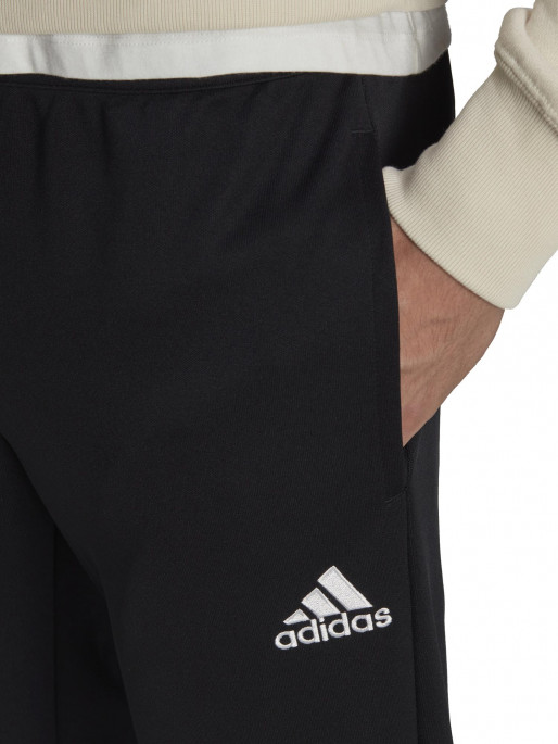 ADIDAS PERFORMANCE Αθλητικό Παντελόνι Entrada 22 Training