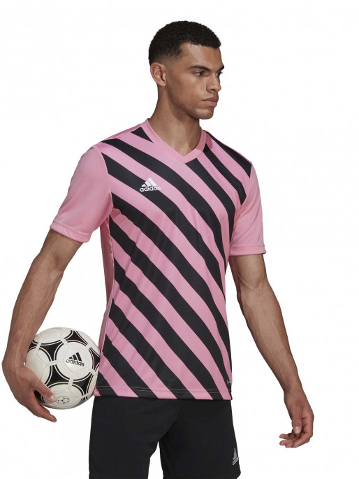 ADIDAS PERFORMANCE Тениска Entrada 22 Graphic Jersey