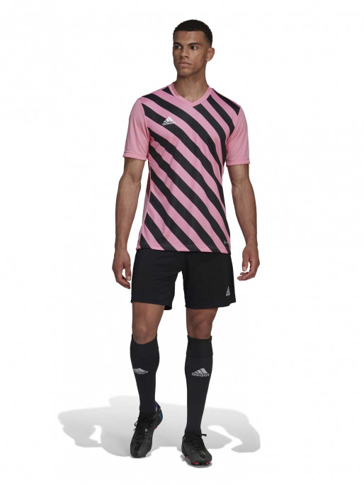 ADIDAS PERFORMANCE Тениска Entrada 22 Graphic Jersey