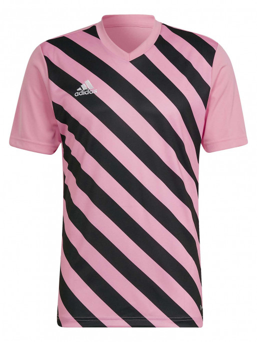 ADIDAS PERFORMANCE Тениска Entrada 22 Graphic Jersey